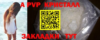 стаф Дубна
