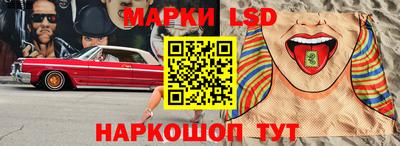 стаф Дубна