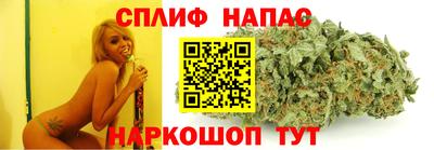 стаф Дубна