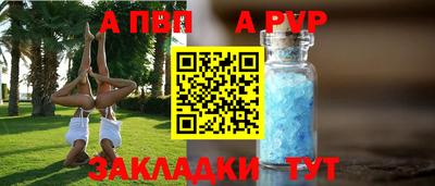 стаф Дубна