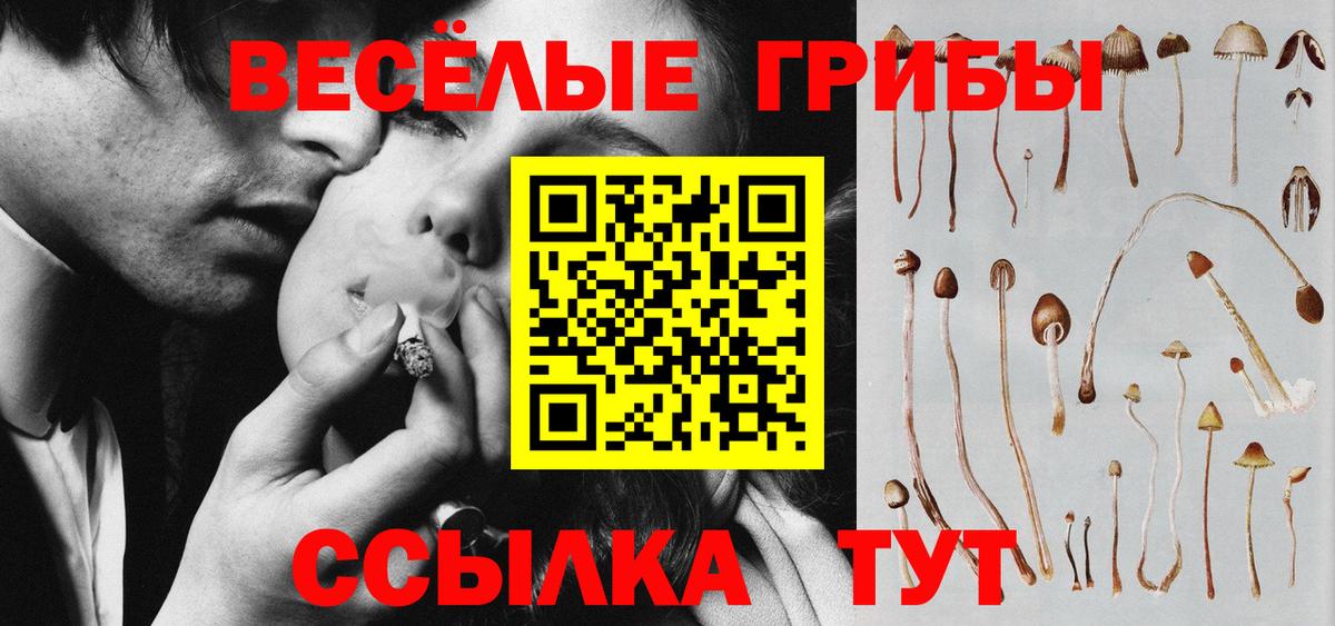 Галлюциногенные грибы мухоморы Черняховск