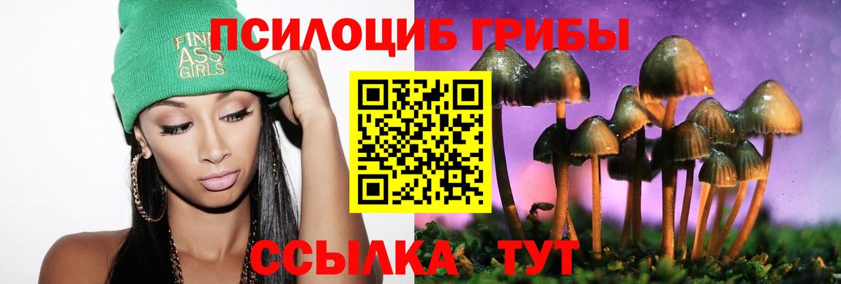 Галлюциногенные грибы мухоморы  Галлюциногенные грибы MAGIC MUSHROOMS  Черняховск  Вход с VPN 